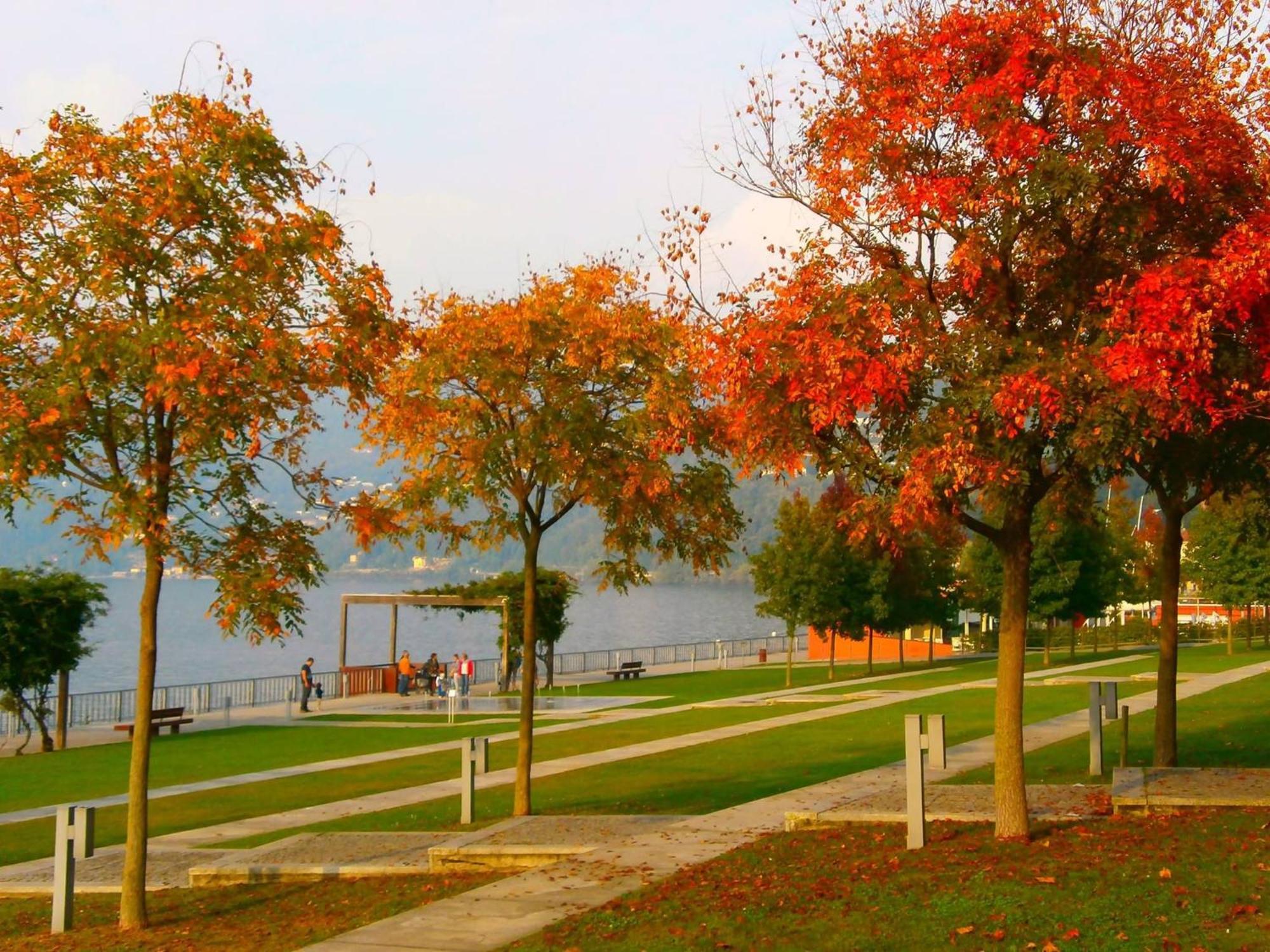 Lago Maggiore Holiday House, Lake View, Vignone Dumenza Zewnętrze zdjęcie
