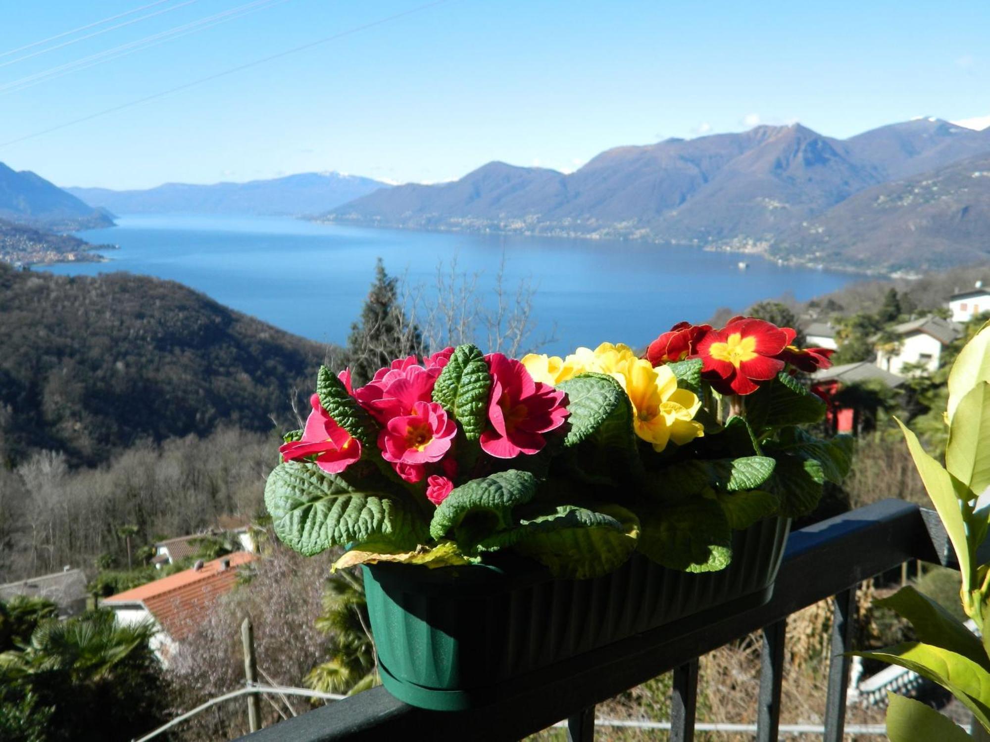 Lago Maggiore Holiday House, Lake View, Vignone Dumenza Zewnętrze zdjęcie